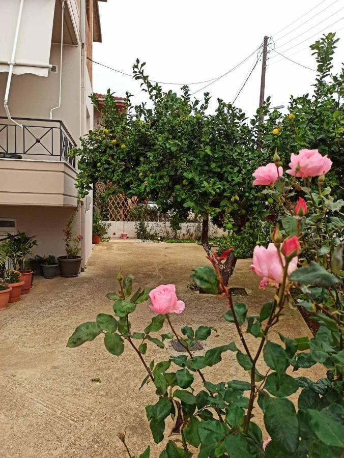 Agathi'S House Apartment Mytikas  Exterior photo